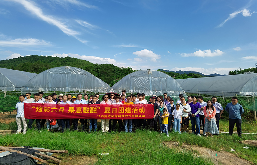 團(tuán)建|挺進(jìn)環(huán)保開展“炫彩六月 果意融融”夏日采摘活動